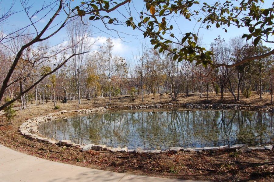 29d3bc99193cb0b837fb8cc53f050ae5-3-900x597